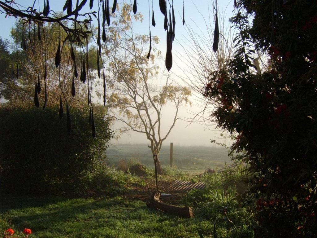 Plovers Ridge Country Retreat Villa Lilydale Kamer foto